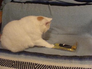 Furminator Deshedding Tool Long Hair Cats Furminator Deshedding Tool Long Hair Cats