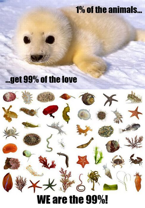 Occupy Nature