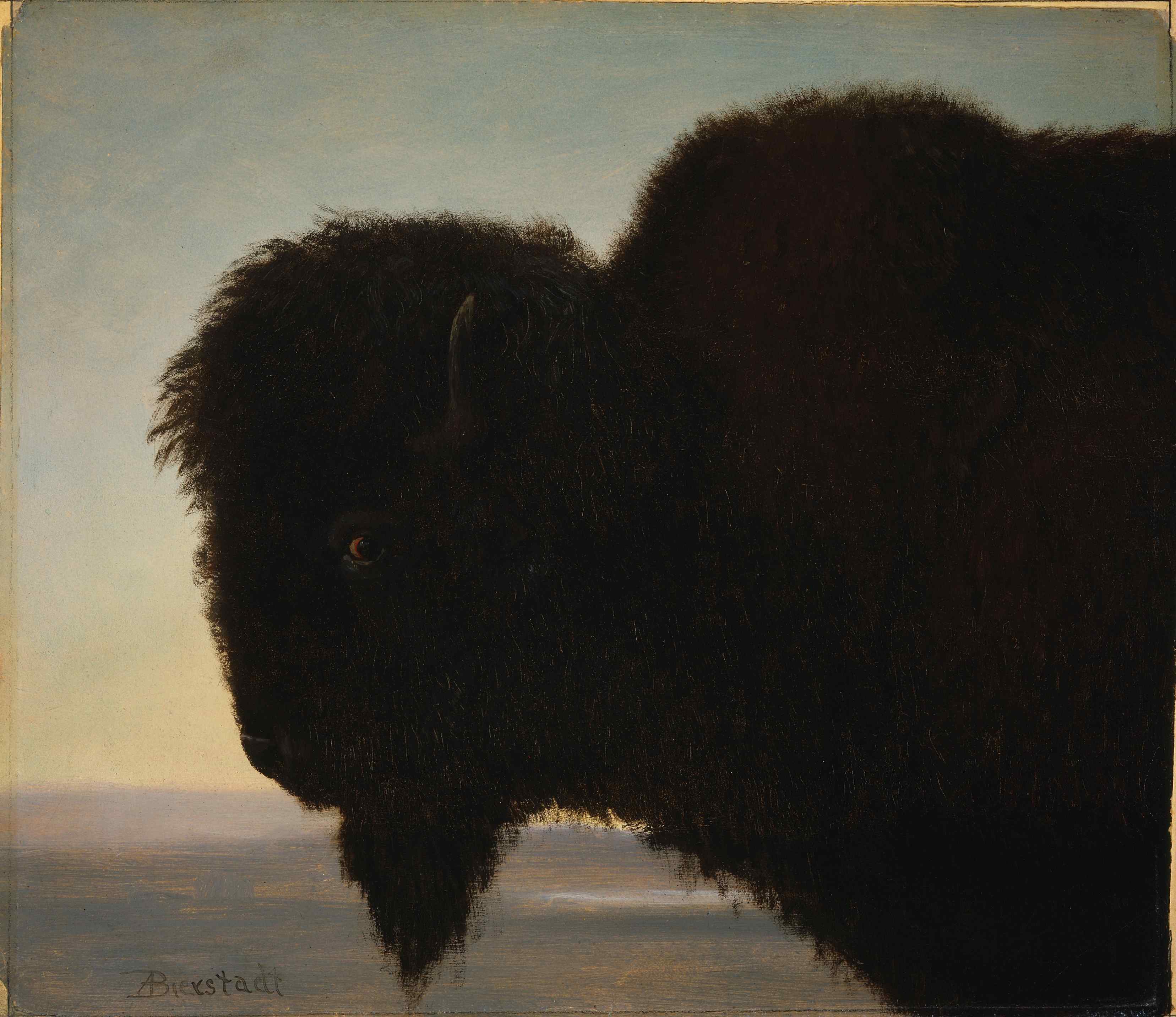 Albert_Bierstadt_-_Buffalo_Head