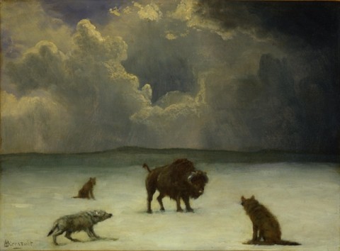 Albert_Bierstadt_-_Trapped 4