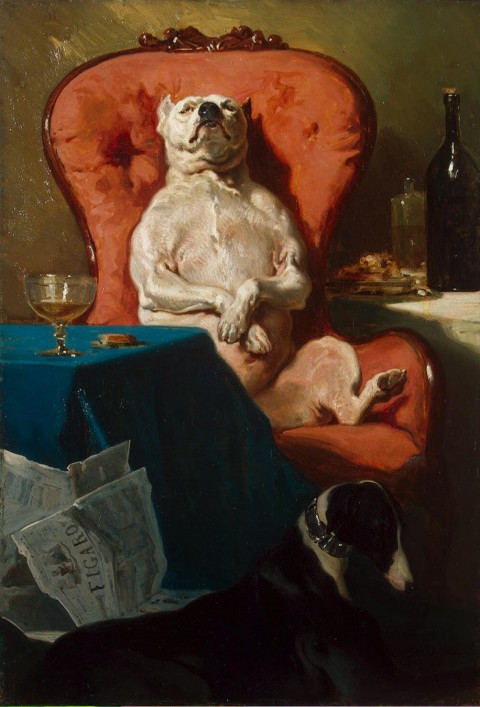 Alfred_Dedreux_-_Pug_Dog_in_an_Armchair