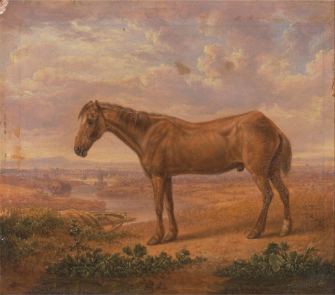 Charles_Towne_-_Old_Billy,_a_Draught_Horse,_Aged_62_-_Google_Art_Project