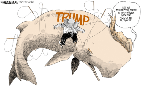 Funny Trump Build A Wall I Meant Mall Funny Trump Build A Wall I Meant Mall