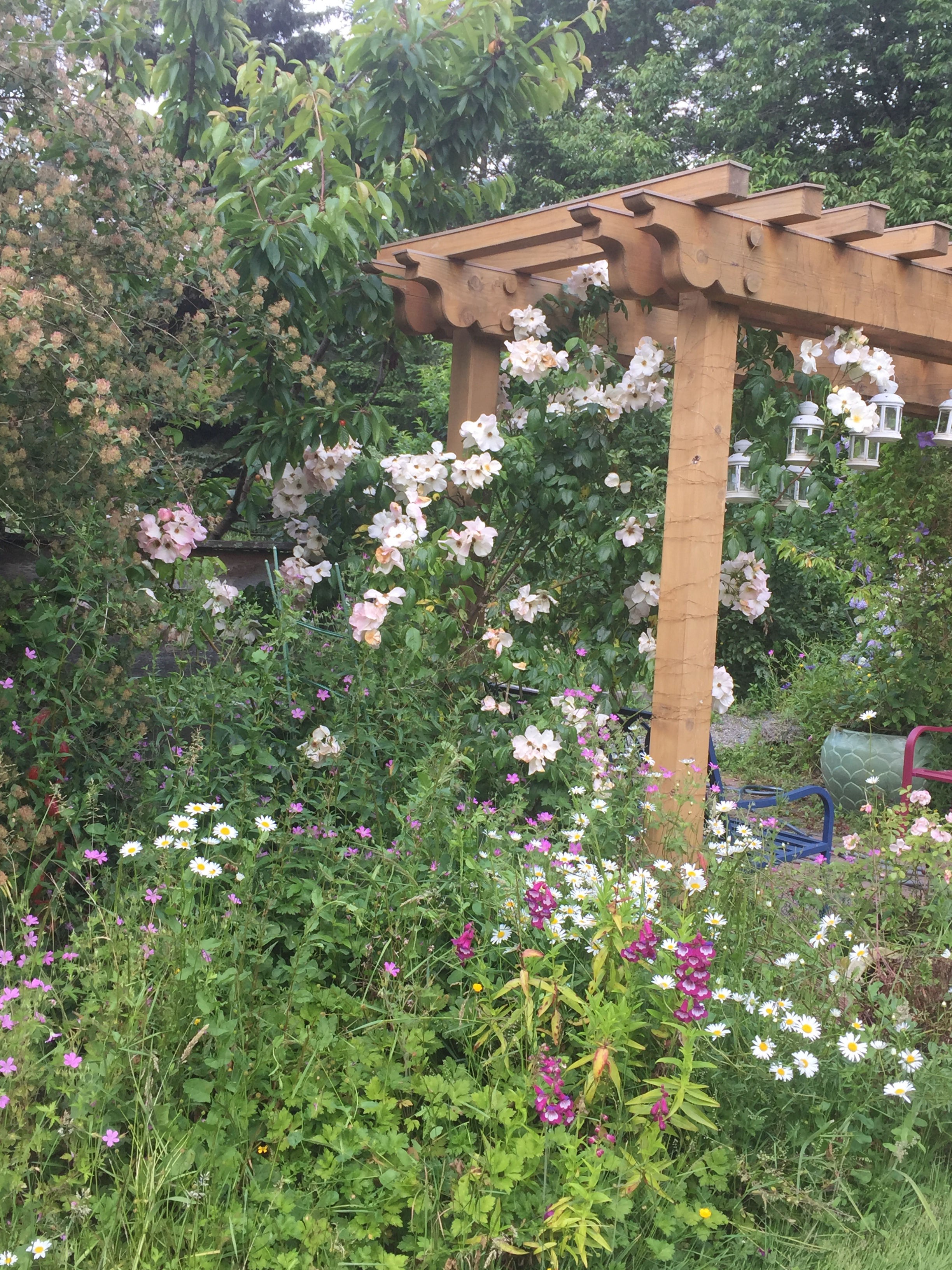 nursery chat A garden forum for the home gardener members provide helpful answers for home gardening questions in a number of topics. nursery chat A garden forum for the home gardener members provide helpful answers for home gardening questions in a number of topics.