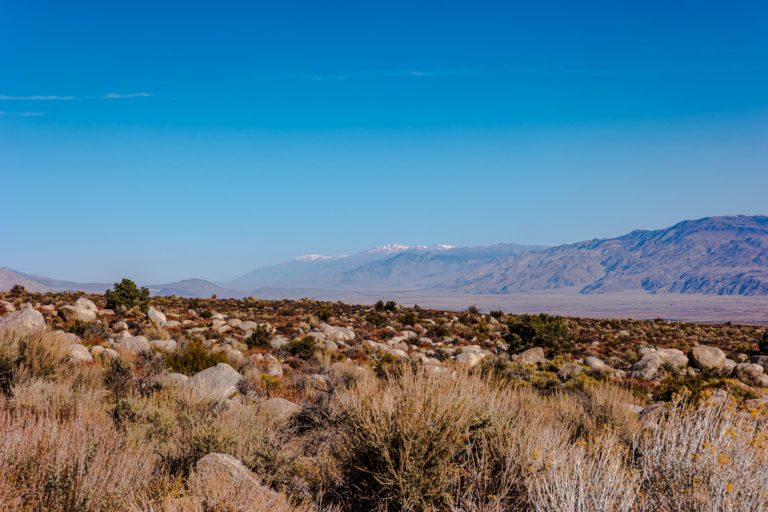 On The Road - 🐾BillinGlendaleCA - Mt. Whitney