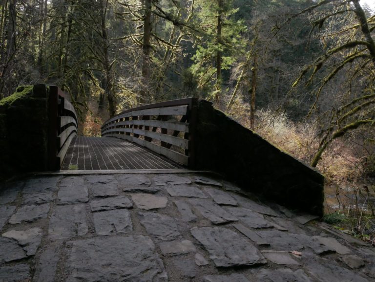 On The Road - Kelly - Winter at Silver Falls 1