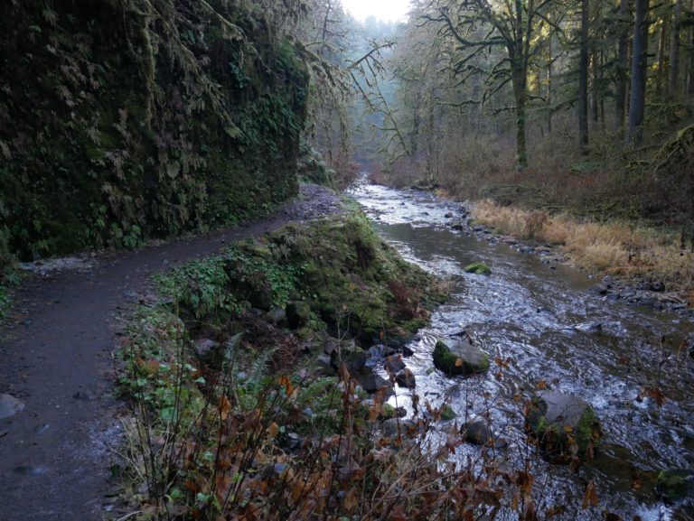 On The Road - Kelly - Winter at Silver Falls 4