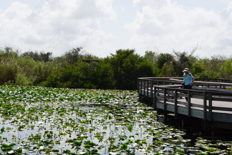 On The Road - frosty - Everglades National Park 7