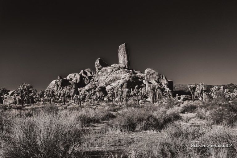 On The Road - 🐾BillinGlendaleCA - Ryan Ranch 7