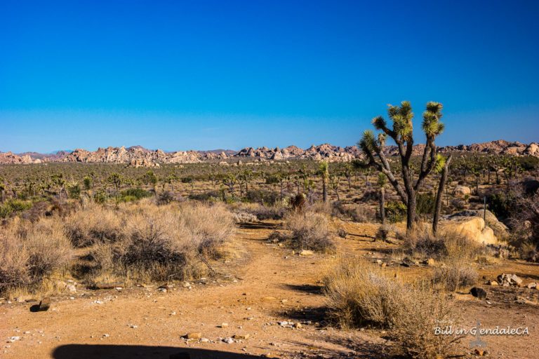 On The Road - 🐾BillinGlendaleCA - Ryan Ranch 2