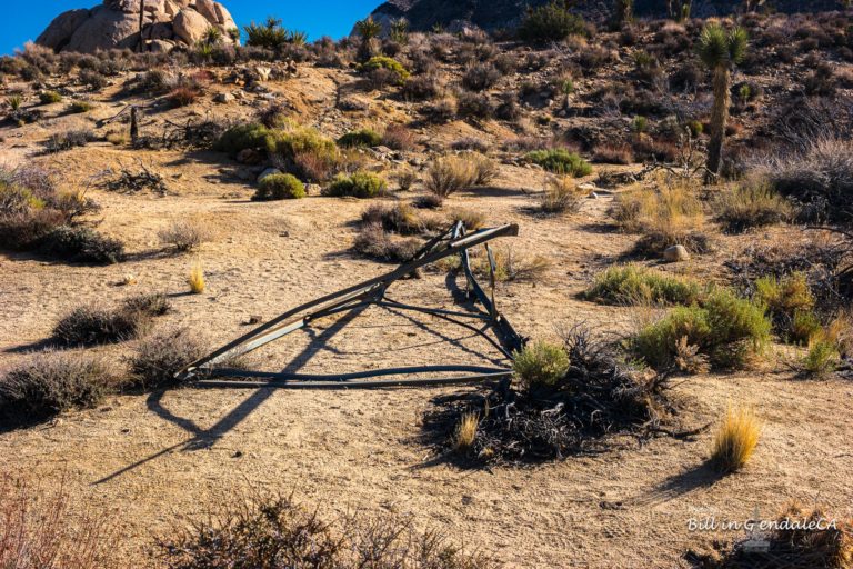 On The Road - 🐾BillinGlendaleCA - Ryan Ranch 1