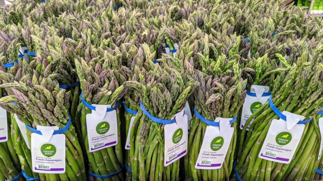 Rows of asparagus collected for sale