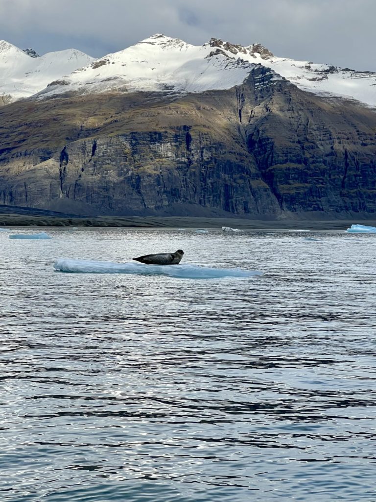 On The Road - MissWimsey - Ice Adventure in southeast Iceland 3