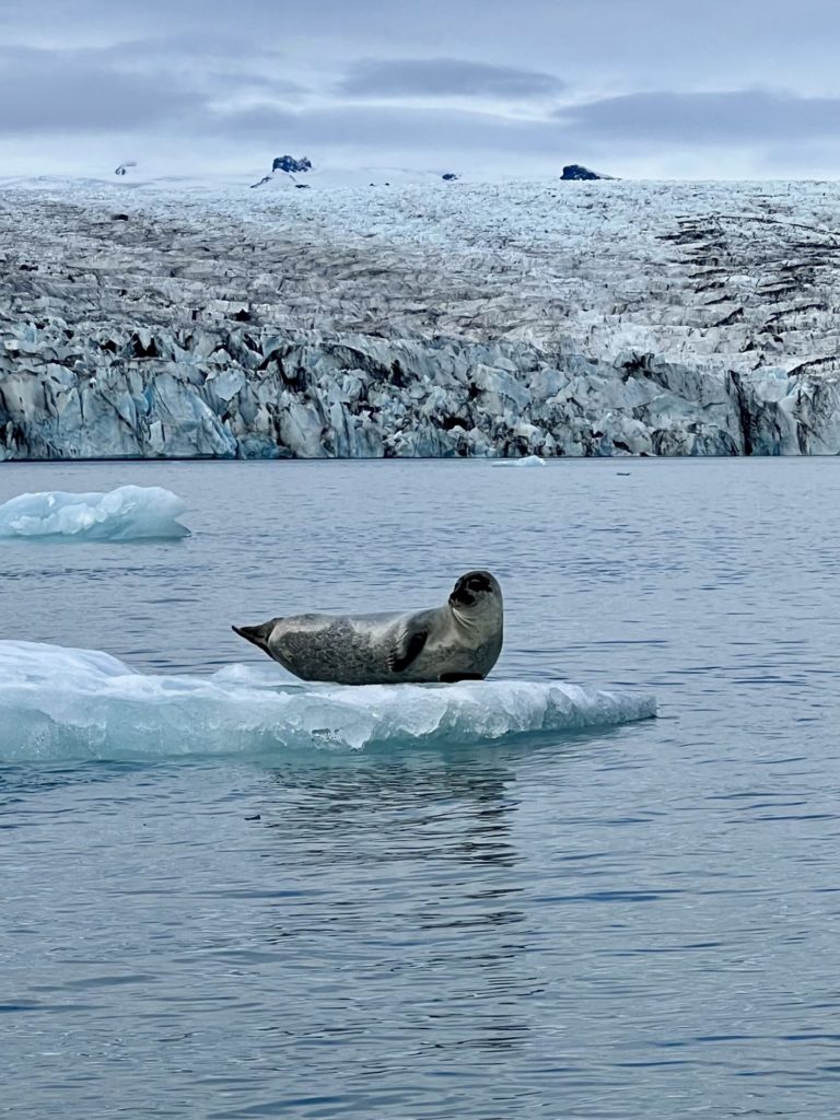 On The Road - MissWimsey - Ice Adventure in southeast Iceland 2